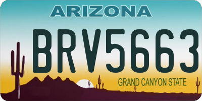 AZ license plate BRV5663