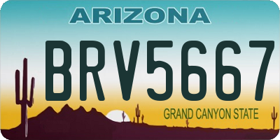 AZ license plate BRV5667