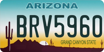 AZ license plate BRV5960