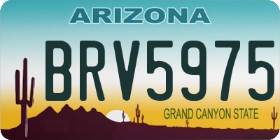 AZ license plate BRV5975
