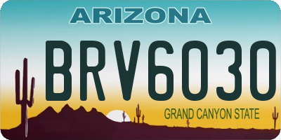AZ license plate BRV6030