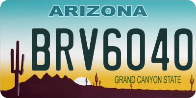 AZ license plate BRV6040