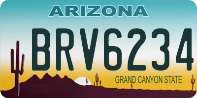 AZ license plate BRV6234