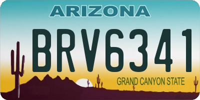 AZ license plate BRV6341