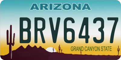 AZ license plate BRV6437
