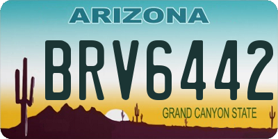 AZ license plate BRV6442