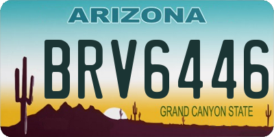 AZ license plate BRV6446
