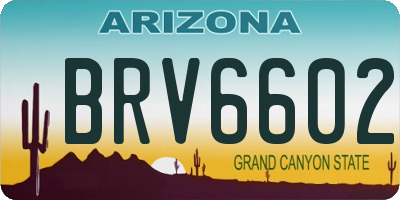 AZ license plate BRV6602