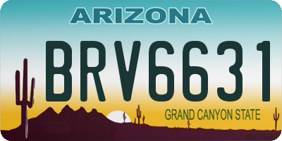 AZ license plate BRV6631