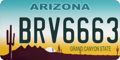 AZ license plate BRV6663