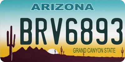 AZ license plate BRV6893