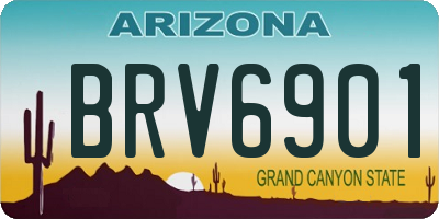 AZ license plate BRV6901