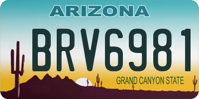 AZ license plate BRV6981