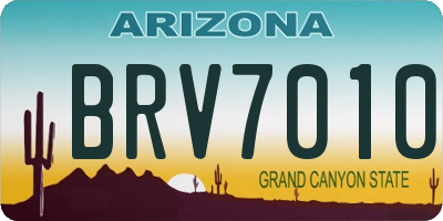 AZ license plate BRV7010