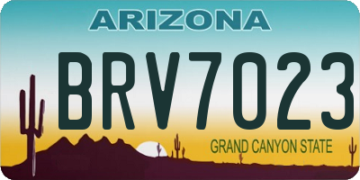 AZ license plate BRV7023