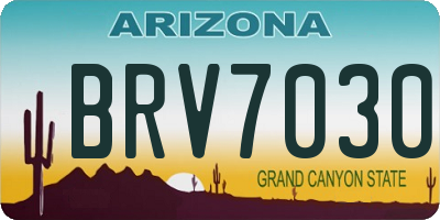 AZ license plate BRV7030