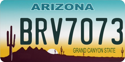 AZ license plate BRV7073