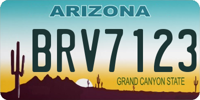 AZ license plate BRV7123