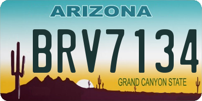 AZ license plate BRV7134