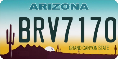 AZ license plate BRV7170