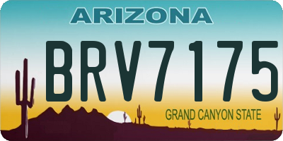 AZ license plate BRV7175