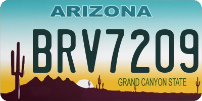 AZ license plate BRV7209