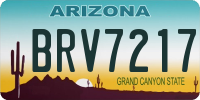 AZ license plate BRV7217