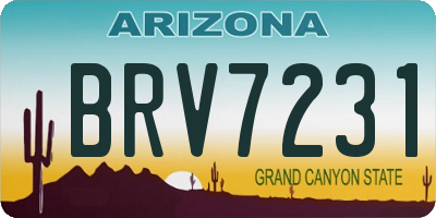 AZ license plate BRV7231