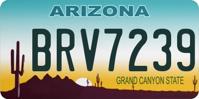AZ license plate BRV7239
