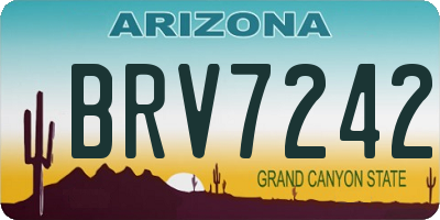 AZ license plate BRV7242