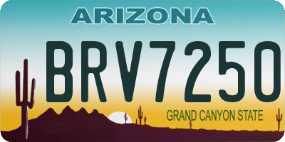 AZ license plate BRV7250