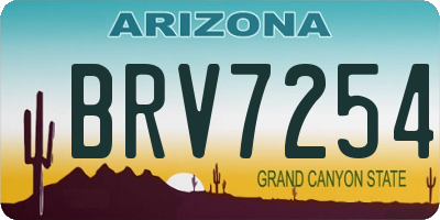 AZ license plate BRV7254