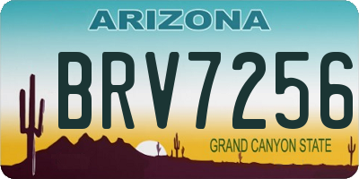 AZ license plate BRV7256