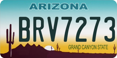 AZ license plate BRV7273
