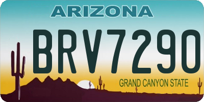 AZ license plate BRV7290