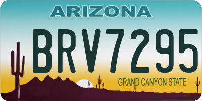 AZ license plate BRV7295