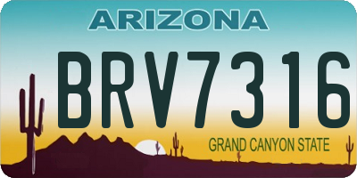 AZ license plate BRV7316