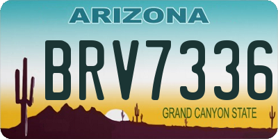 AZ license plate BRV7336