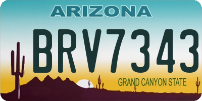 AZ license plate BRV7343