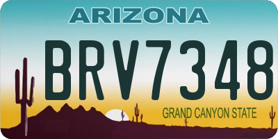 AZ license plate BRV7348