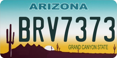 AZ license plate BRV7373
