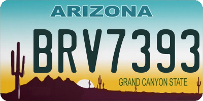 AZ license plate BRV7393