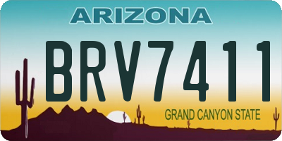 AZ license plate BRV7411