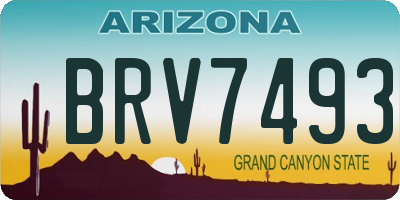 AZ license plate BRV7493