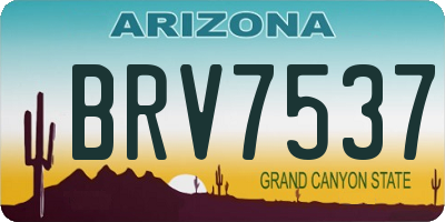 AZ license plate BRV7537
