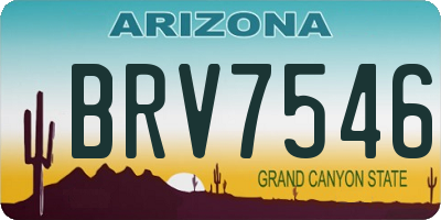 AZ license plate BRV7546