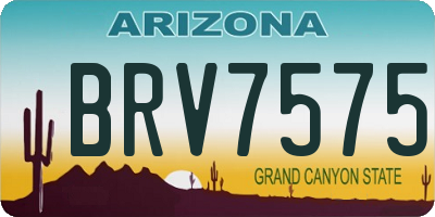 AZ license plate BRV7575