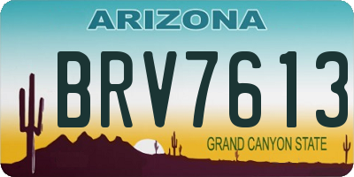 AZ license plate BRV7613