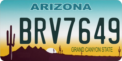 AZ license plate BRV7649