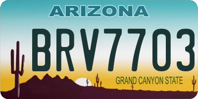 AZ license plate BRV7703